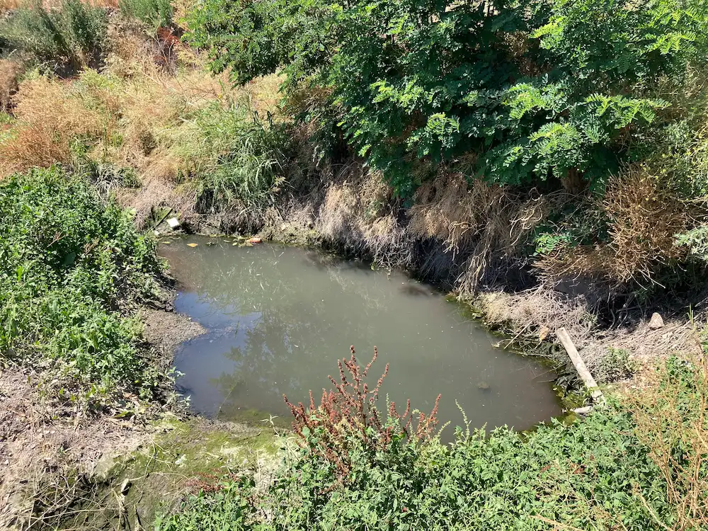 hábitat de nutrias africanas