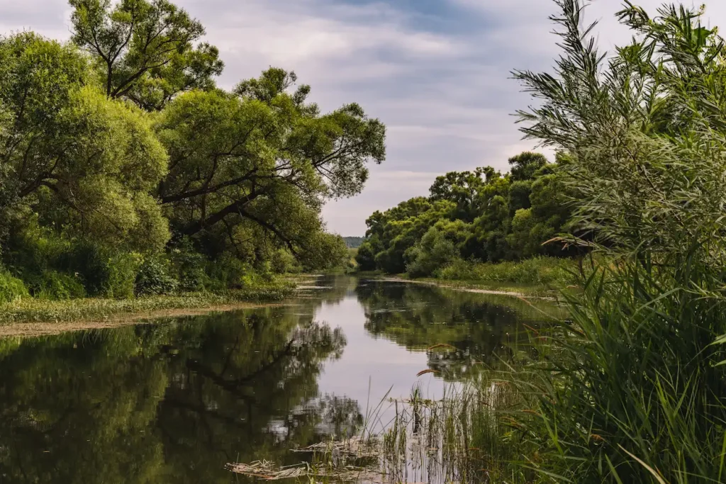 habitat de la nutria albina