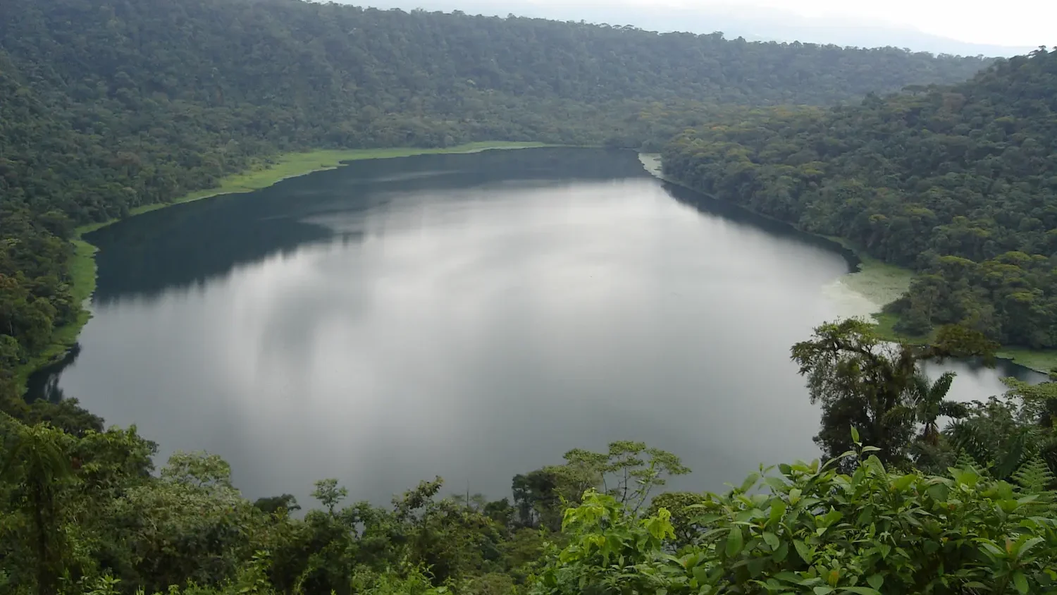 laguna habitat de nutria